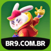 Logo da BR9